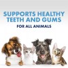 PetSilver Teeth & Gum Spray, Dogs & Cats, All-Natural, Clean