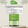 Ireya Ayurveda Ireya Ayurveda Jamun Seed Capsules and Amla Extract