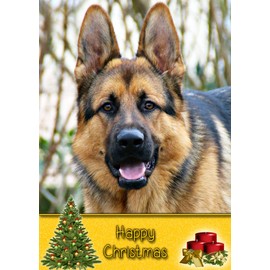 German Shepherd Dog Christmas Card 'Happy Christmas' - Special Animal Xmas Card for Him Her from Pets Kids