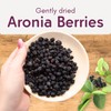 Organic Dried Aronia Berries 7.1 oz (6-Pack) – No Sugar