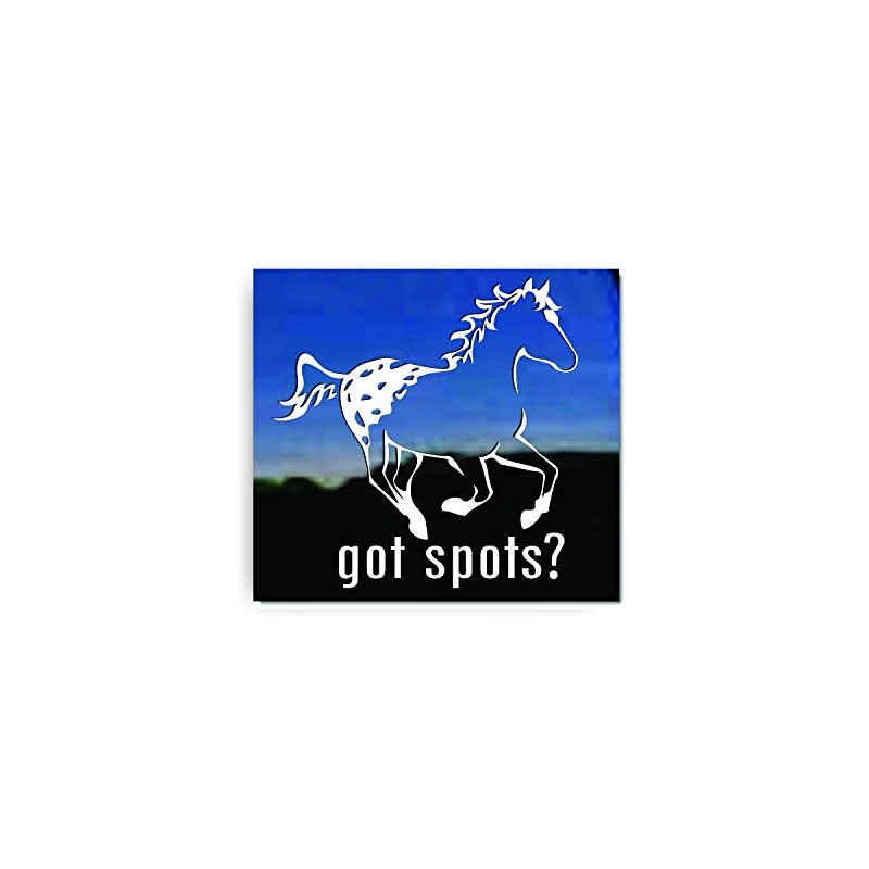 Got Spots? Appaloosa Horse Trailer Vinyl Window Decal Sticker