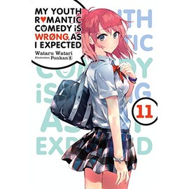 My Youth Romantic Comedy Is Wrong, As I Expected, Vol. 11 (light novel) (My Youth Romantic Comedy Is Wrong, As I Expected, 11)