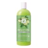 Shampoo Capilar De Bergamota Natural 1000 Ml