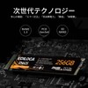 EDILOCA EN605 SSD 256GB PCIe Gen 3.0x4 NVMe1.3 M.2 2280
