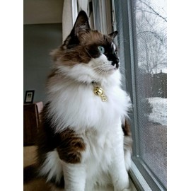 SENFAI Gold Plated 26 Alphabet English Letters Crystal First Initial Name Charms for Bracelet,Necklace,Zipper Puller (T1)