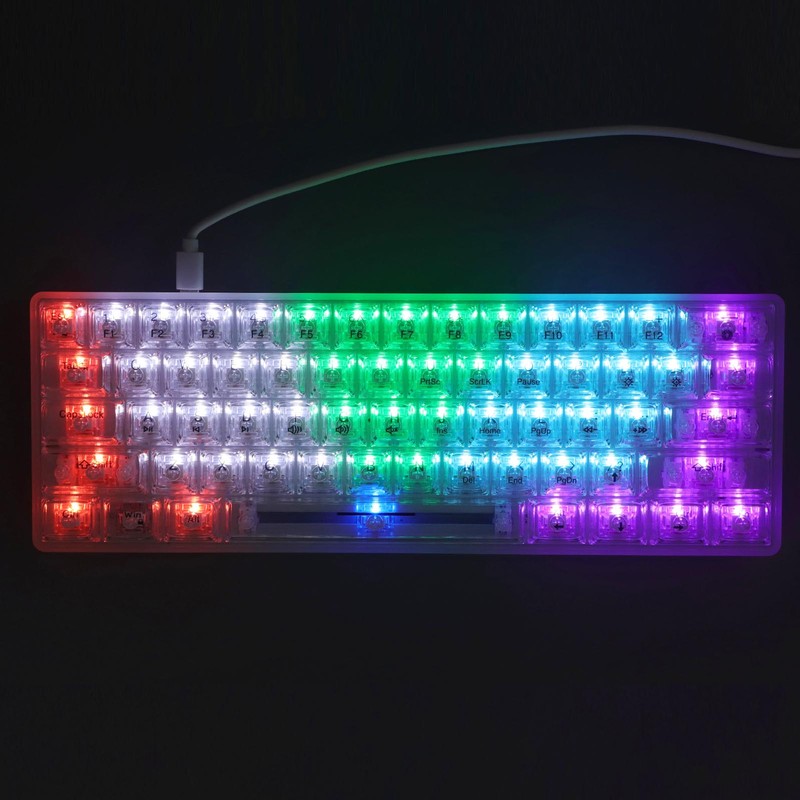 61 Keys Transparent Mechanical Keyboard Clear Keycap Wired Gaming Keyboard