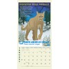 Wildlife Mini Wall Calendar 2026 7" x 7"