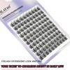 10 Rows Segment Type, Eyelash Accessory, 3 Levels, Fits Lids,