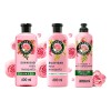 Herbal Essences Rosa Shampoo + Acondiciona + Crema 3pzs