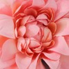 Jumwrit Big Fabric Flower Hair Clip Strong Hold Wedding Floral