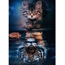 DAERLE Diamond Painting Cat 5D Diamond Painting Diamond Painting Kit Cat and Tiger Diamond Embroidery Complete Kit Indoor Wall Decoration (30 x 40 cm)