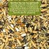 Kiki’s Premium Parrot Food| Protein-Rich Low-Fat Formula | Cockatiel, Conure,