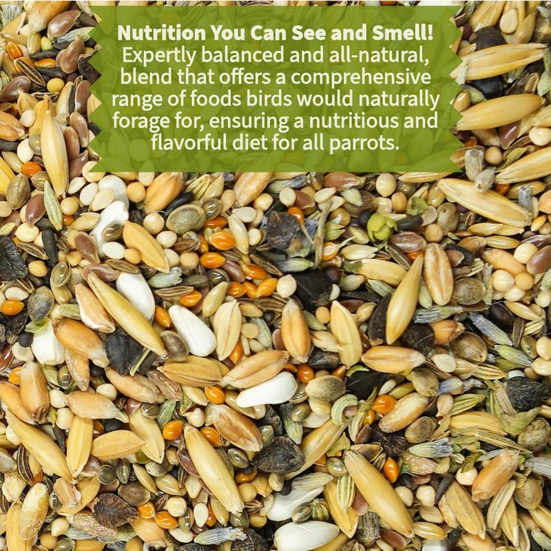 Kiki’s Premium Parrot Food| Protein-Rich Low-Fat Formula | Cockatiel, Conure,