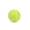 Cosco Rubber Tennis Ball (Multicolour) Standard Size