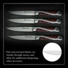 Hammer Stahl Steak Knives Set Of 4 | High Carbon