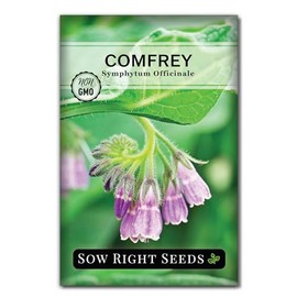 Sow Right Seeds - Comfrey Seeds for Planting - Non-GMO Heirloom Packet with Instructions to Plant an Outdoor or Indoor Herb Garden - Roots & Leaves for Home Remedies - Medicinal Salve, Oil, Tea (1)