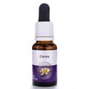 Living Essences Correa 15ml