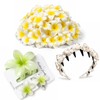 Hair Accessories Set - Plumeria Hair Clip - Leaf Clip