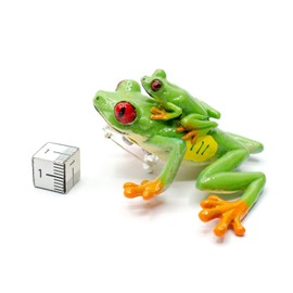 Miniblings Red Eye Leaf Frog Baby Brooch Frog Green Handmade Fashion Jewellery I Lapel Pin Button Pins, Plastic