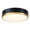 senroyal Flush Mount Ceiling Light Fixture, Black Gold LED Ceiling