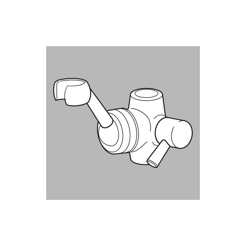 DELTA FAUCET RP54013 Dryden Set Screw and Button