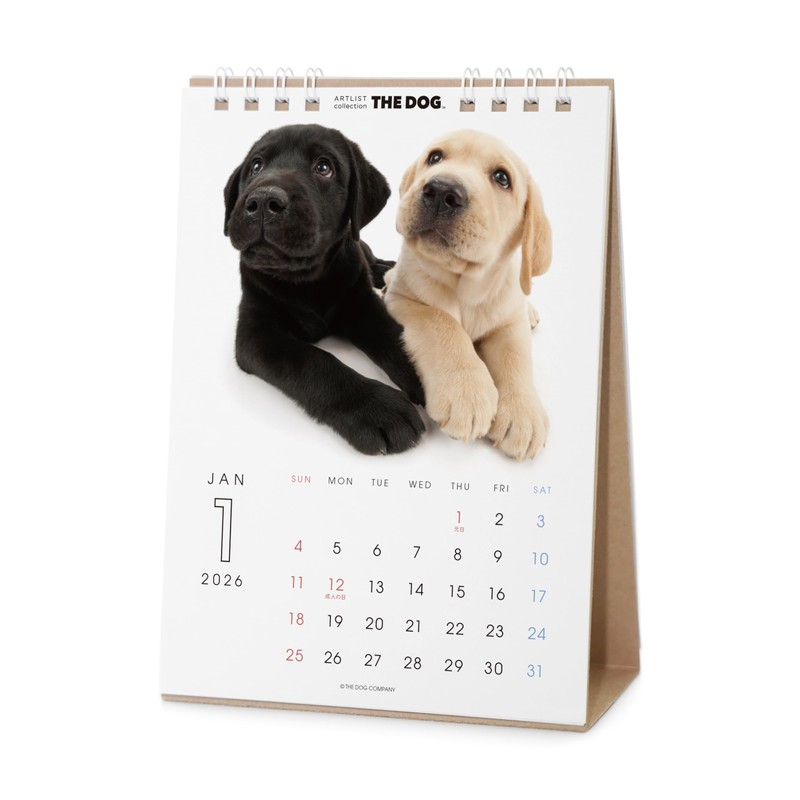 THE DOG Tabletop Calendar 2026 (Labrador Retriever)