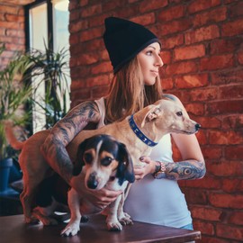 SCENEREAL Leather Dog Collars for Small Medium Dogs with Rivet, Adjustable Studded Cute Dog Collar for Pet Boy Girl Kitten Cats, Bling Spiked Puppy Collars, Blue S