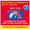 Boudreaux's Butt Paste Maximum Strength Diaper Rash Cream, Ointment for