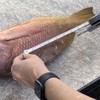 CUDA Digital Grip & Weigh 50Lb | Durable For Saltwater