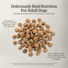 Now Fresh Grain-Free Dry Dog Food, Real Meat and Fish,