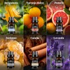 Aceites Esenciales Aromaterapia Set Botellas Kit Elaborado Ingredientes Naturales Adecuado
