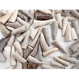PEPPERLONELY Deer Antler Tips for Crafts - Antler Tine Points for Arts or Toggles (Natural, 1 Inch, 20PC)