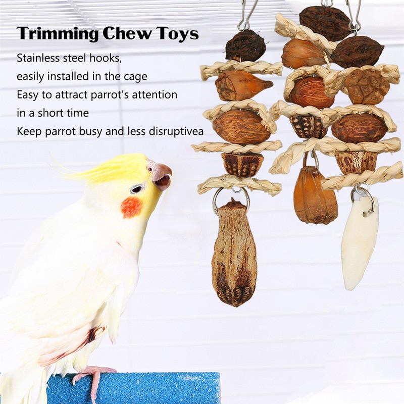 Parakeet Beak Stone Parrots Trimming Chew Toys Set Bird Nuts