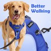 Funfox Dog Harness Medium No Pull, Adjustable 2 Clips Anti-Pull