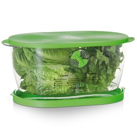 Prep Solutions by Progressive Lettuce Keeper Produce Storage Container, 4.7 Quarts, Green (LKS-06)
