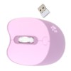 Wireless Mouse BT5.1 Or 2.4GHz Silent Click Adjustable DPI Auto