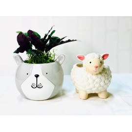 CBT Floral & Craft Animal Ceramic Pots for Plant | Round Planter (opening 3") Adorable Pot Decor for Home or Office l Indoor and Outdoor Planter for Any Event Decorations (4"x 5", White Sheep)