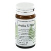 Aralia S PHCP 20 g