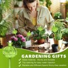 4pcs Self Watering Flower Globes Decorative Automatic Plants Watering Bulbs