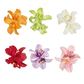 Flower Hair Clip Set – 6pcs Bohemian Tropical Fabric Hair Accessories with Metal Clips, 8x10cm Artificial Blossoms in Red, White, Pink, Green, Purple & Orange for Wedding, Beach & Party Look