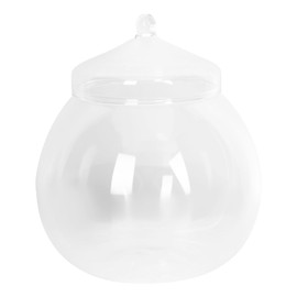 Angoily Glass Terrarium, Large Clear Planter Jars with Lid, Plant Terrarium Bowl Vase