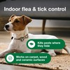 Advantage Carpet & Upholstery Spot Spray | Kills Fleas &