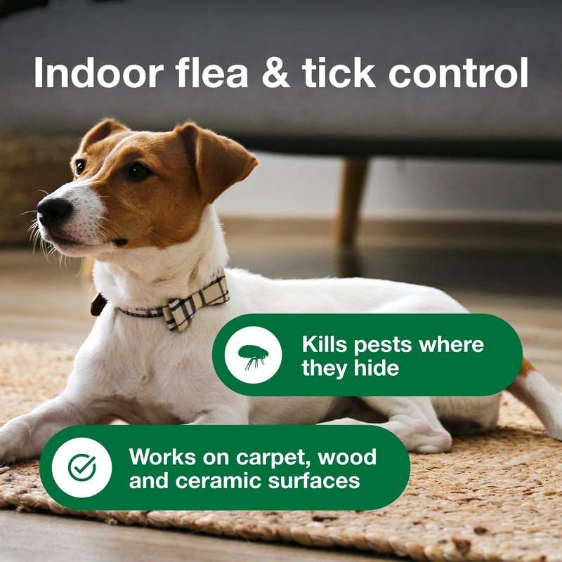Advantage Carpet & Upholstery Spot Spray | Kills Fleas &