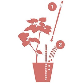 IPPINKA Sustee Aquameter Set de 4, sensor de humedad del suelo de las plantas, (blanco, grande, recargable)