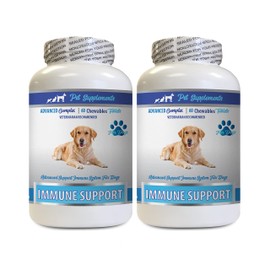 PET SUPPLEMENTS & NUTRITION LLC Immune Dog Supplement - Advanced Dog Immune Support - Veterinarian Recommended Complex - pet Wellbeing Milk Thistle Dogs - 2 Bottles (120 Treats)