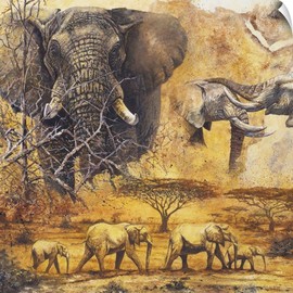 CANVAS ON DEMAND Safari II Wall Decal, Elephant Artwork