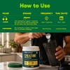 Organika Creatina Monohidratada Micronizada Alta Pureza Sin Sabor 500 g