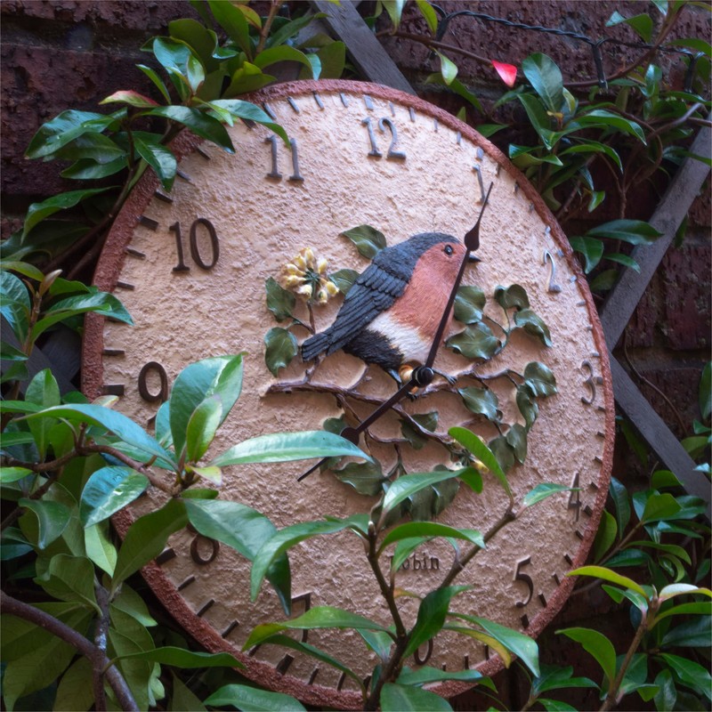 Robin Design Outdoor/Indoor Wall Clock. Garden, Patio Clock. Outdoor Clocks.