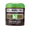Fantasia Herbal Gro Max Hair Treatment, 5 Ounce