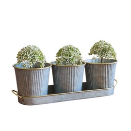 Dipamkar Set of 3 Galvanized Windowsill Herb Pots Metal Herb Planters Wth Saucer for Kitchen Window Indoor and Outdoor Use